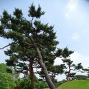 을지피지에이골프클럽 | 태릉골프장 라운드후기_자신감 회복