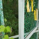 삼정삼거리 이미지