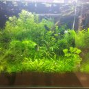 롯데마트 부평점(수족관) 이미지