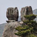 신정호길 이미지