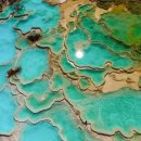 신 황룡 이미지