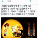 둘리상사 이미지