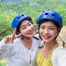고고렌트카강 네이버블로그