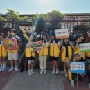 성황초교 이미지