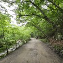 지경터 | 조계산, 천년불심길