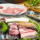 남구-130 | 울산 달동 고기 맛집 달돈 삼성아파트 근처 남구 삼겹살 고기집 야장 느낌