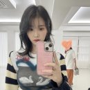 크로커다일 대리점 | 아이유 케이스 스미스 앤 레더, 아이폰13 미니 Crocodil pink 케이스 리뷰
