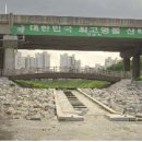 고깃길 이미지