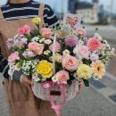 중앙동147 이미지