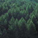 영해보건지소 앞 이미지