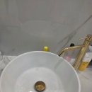 셀레나 | [가성비 제모] 홍대 셀레나의원 레이저제모 후기 - 저렴한데 꼼꼼한 제모맛집