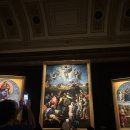 바티칸 | [이탈리아, 로마] 바티칸 투어 후기, 클룩 1+1 패스트트랙 구매.