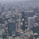 차나라 이미지
