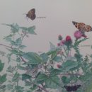 남양행정사 이미지