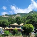 사계절면관 이미지