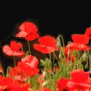 탑동농장 이미지