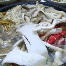 장수버섯 이미지