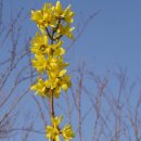 오륙도중학교 이미지