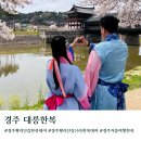 디자인짐 | 경주 황리단길 신라한복대여 대릉한복 가격 짐보관 한복대여 후기