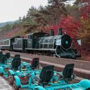 단풍약국 이미지