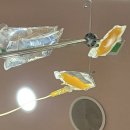 전일한방병원 | [ 임신 40주차 ] 드디어 출산 ( 유도분만 / 무통천국 / 막판패닉 / 산후출혈 / 신생아검사 / 초유실패 )