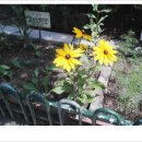 중평초교 이미지