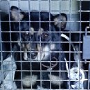 삼향천로 이미지