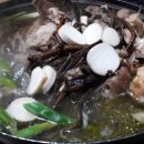 황창민 삼을품은닭 이미지