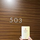 피터팬짐 | 도쿄디즈니씨 오픈런 대성공 후기 피터팬-> 라푼젤 -> 타워오브테러 DPA -> 소어링 DPA -> 레이징...