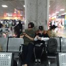 신짱개집 | 광란의 안산 친구들 전진해 2017 월디페 WDF 후기
