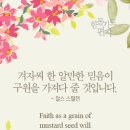겨자씨의 믿음
