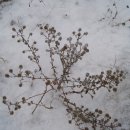 신선농원 이미지