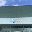 ㈜통카페 | 제주도 아이랑 부모님이랑 모두 행복했던 실내가볼만한곳 아쿠아플라넷