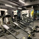 마커스 그래비티 이미지