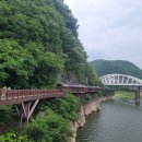 포레스트 리솜 이미지