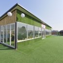 댕댕이 운동장 이미지