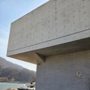 골든트리 | 남이섬 근처 카페 추천 🌲 북한강뷰 맛집 골든트리 가평 솔직후기