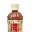 레드진생