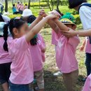 월산초병설유치원 이미지