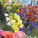 아도라 플라워 앤 카페 이미지