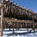 대관령눈마을 영농조합법인 이미지