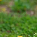 석고리 주차장 이미지