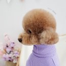 베스띠몽 이미지