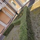 목원대학교 웨슬리신학대학원 | 목원대학교 웨슬리신학대학원 교수