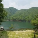 춘천임업