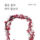 최세규 시집 ＜＜꽃은 혼자 피지 않는다＞＞ 출간 이미지