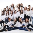 푸드에이스 이미지
