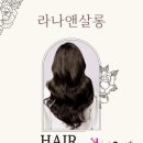 라나헤어살롱 - 제주시 노형1길 6 | 라나헤어살롱