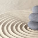 하버드 심리학자의 감정 관리법 이미지