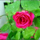 학의천변 이미지